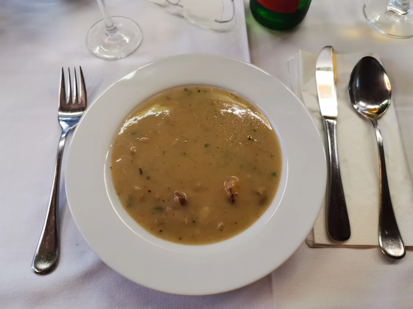 Krožnik domače juhe